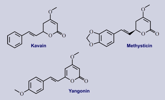 Kavalactone (Kavain, Methysticin, Yangonin