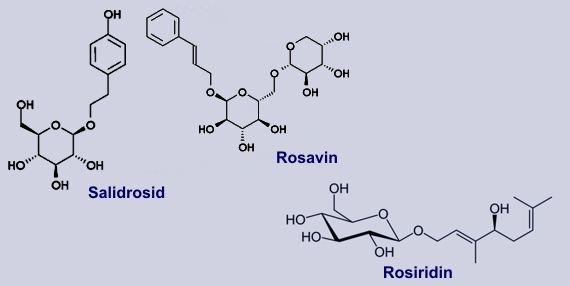 Inhaltsstoffe des Rosenwurzes