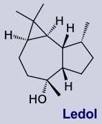 Ledol - Inhaltsstoff des Sumpfporstes