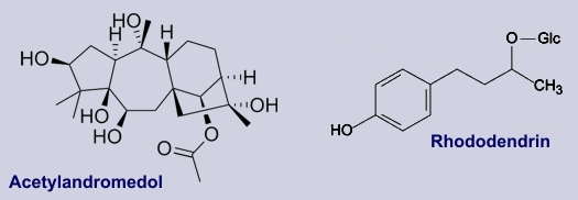 Inhaltststoffe der Alpenrose