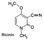 Ricinin - ein Inhaltsstoff des Rizinus