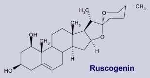 Ruscogenin - Inhaltsstoff des Mäusedorns