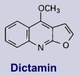 Dictamin