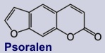 Psoralen