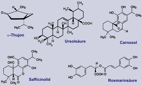 Salbei: Inhaltsstoffe