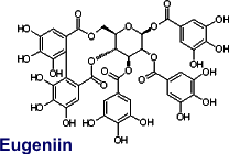 Eugeniin - Inhaltsstoff des Grossen Wiesenknopfes