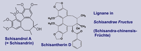 Lignane in Wu Wei Zi