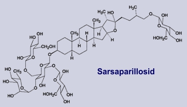 Srsaparillosid - Inhaltsstoff der Stechwinde