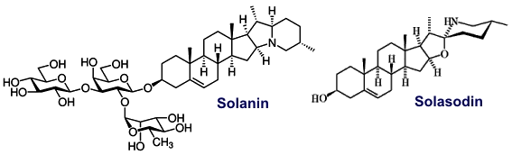 Solanin, Solasodin - Inhaltsstoffe des Schwarzen Nachtschattens