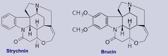 Strychnin, Brucin