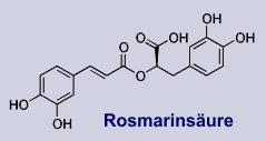 chemische Struktur der Rosmarinsäure
