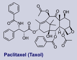 Taxol