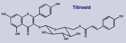 Tilirosid: Inhaltsstoff der Lindenblüte