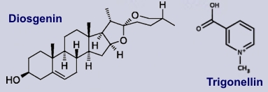 Diosgenin, Trigonellin - Inhaltsstoffe des Bockshornklees
