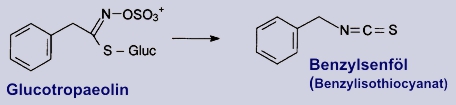 Benzylsenföle - Inhaltsstoffe der Kapuzinerkresse