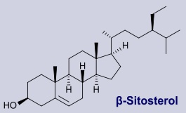 Sitosterol