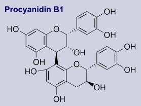 Procyanidin B1 - Inhalsstoff der Heidelbeere