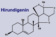 Hirundigenin