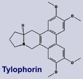 Tylophorin