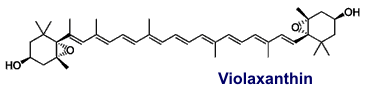 Violaxanthin - Inhaltsstoffe des Wilden Stiefmütterchen