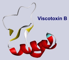 Viscotoxin B