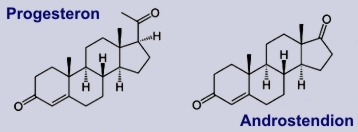 Progesteron, Androstendion